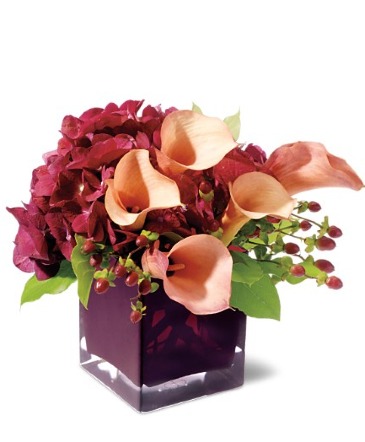 Calla Classique "A Fall Classic new at Wilsons"  in Arlington, TX | Wilsons in Bloom