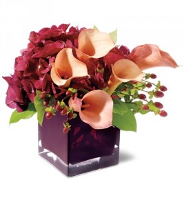 Calla Classique HFWEB45