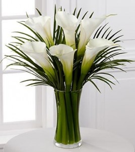 Calla Galore Arrangement