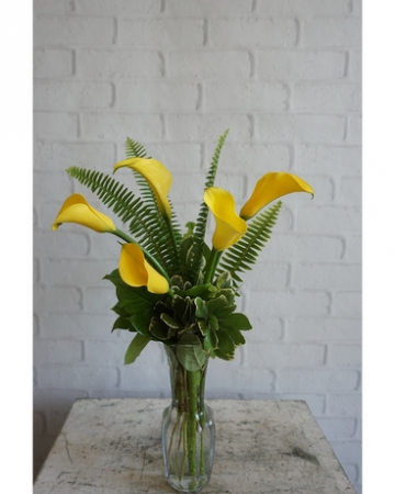 Calla Lilies