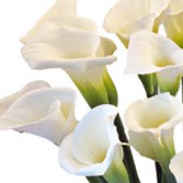 Calla Lilies Candy Bouquet