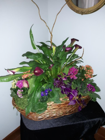 Seasonal Plant Basket