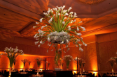 Calla Lily Showstopper  Events