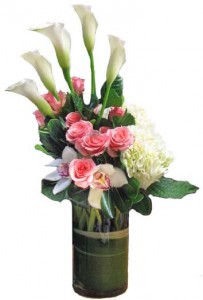 Calla Lovely Please check for availability before ordering.
