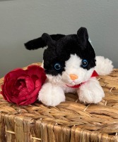 Callie the Cat plush animal