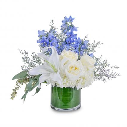 Calm and Cool Arrangement