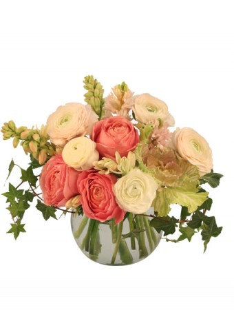 Calming Coral Arrangement in Newark, OH | JOHN EDWARD PRICE FLOWERS & GIFTS