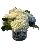 Elegant Hydrangeas  