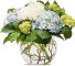 Elegant Hydrangeas  