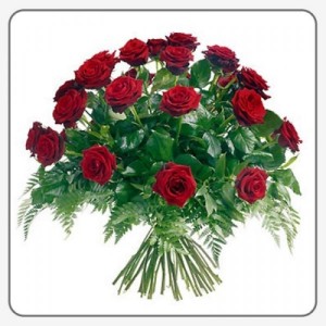 Calypso Sweetheart Roses 24 Handtied Roses Bouquet