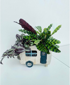 Camper Planter (small) House Plant