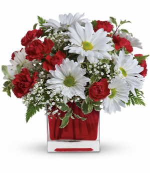 Canada Day Special Cube Arrangement in Winnipeg, MB | KINGS FLORIST LTD Canada Day Special Cube Arrangement in Winnipeg, MB | KINGS FLORIST LTD