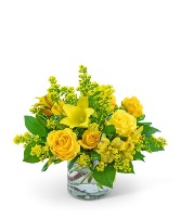 Canary Light Flower Arrangement in Lake Charles, Louisiana | The Flower Shop of Lake Charles