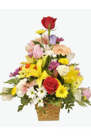 Same Day Flower Delivery In Bronx Ny 10462 By Your Ftd