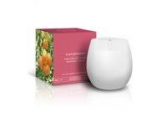 Candle 165g Fruits & Passion