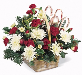 Candy Cane Basket in Texas City, TX - BRADSHAW'S FLORIST INC.