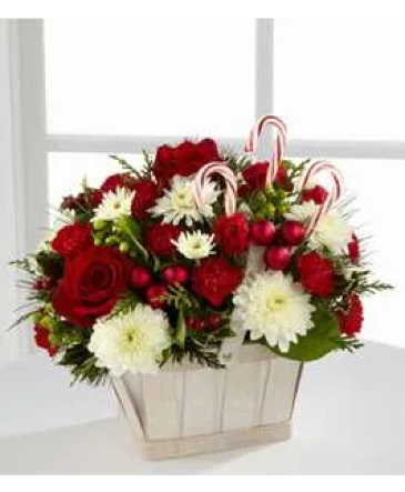 Candy Cane Basket Flower Arrangment in Stratford, ON | Flowers on York