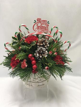 Candy Cane Bliss