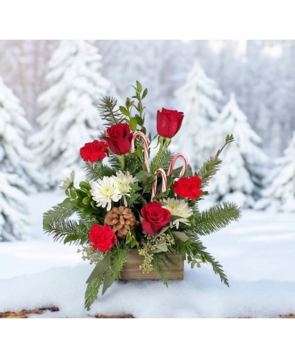 Candy Cane Bliss Wood Box  Arrangement