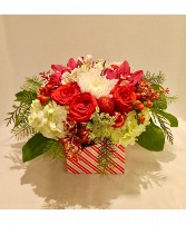 Candy Cane  Bloom Box