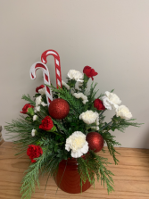 Candy Cane Carnations  