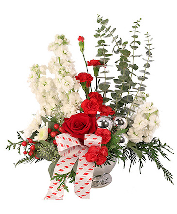 Candy Cane Carnations Christmas Arrangement in Tomball, TX | Tomball Flowers