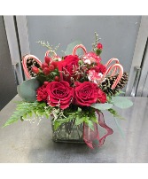 Candy Cane Cheer 50.95, 55.95, 65.95