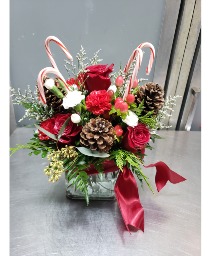 Candy Cane Cheer 50.95  55.95 67.95