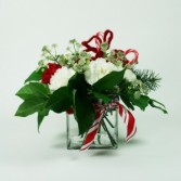 Candy Cane Christmas red & White Carnations 