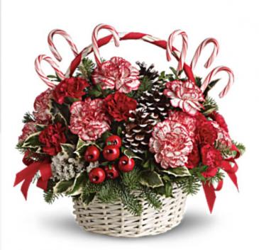 Candy Cane Christmas   in Wichita, KS | FLOWER FACTORY FLOWERS