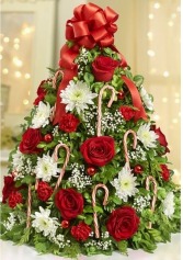 Candy Cane Christmas  