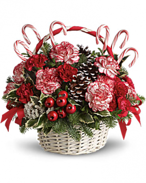 Candy Cane Christmas Arrangement