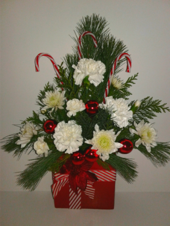 Candy Cane Christmas Christmas