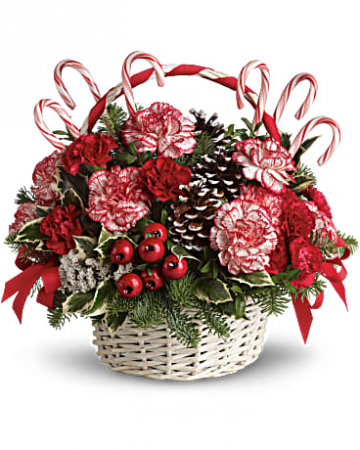 Candy Cane Christmas Christmas