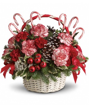 Candy Cane Christmas Fresh Arrangement