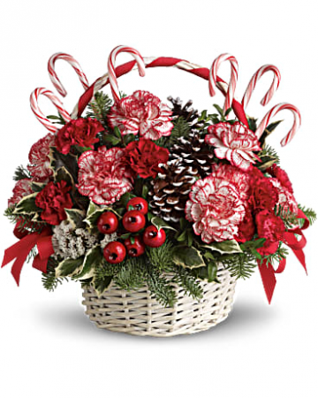 Candy Cane Christmas Holiday Arrangement
