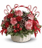 Candy Cane Christmas T118-3A