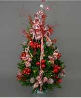 Candy Cane Christmas Tree Boxwood 