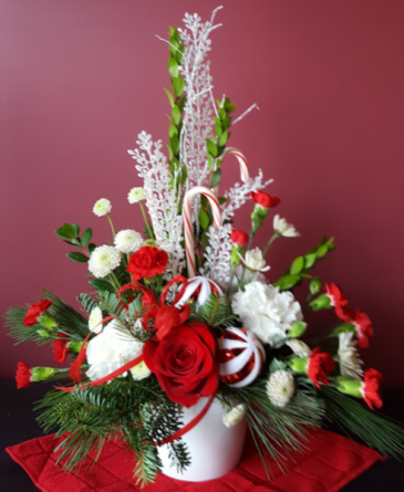 Candy Cane Creation Christmas