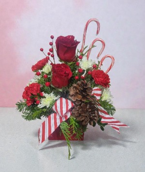 Candy Cane  Arrangement
