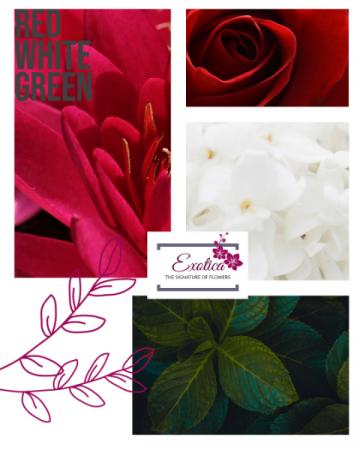 Candy Cane Designers Choice - Vase Arrangement in Houston, TX | EXOTICA THE SIGNATURE OF FLOWERS