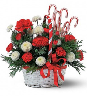 Holiday Shine Bouquet TWR14-5 Winter Floral Arrangement in Elkton