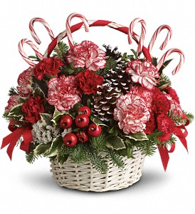  Candy Cane Holiday Bouquet  in Whitesboro, NY | KOWALSKI FLOWERS INC.