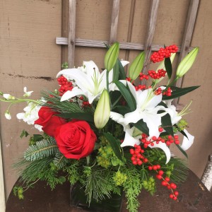 Candy Cane Joy Christmas/holiday arrangement in Elgin, IL | FLORAL EXCELLENCE Candy Cane Joy Christmas/holiday arrangement in Elgin, IL | FLORAL EXCELLENCE
