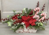 Candy Cane Lane  
