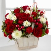 Candy Cane Lane Christmas