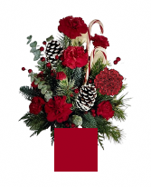 Candy Cane Lane  Christmas arrangement 