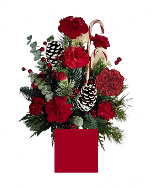 Candy Cane Lane  Christmas arrangement 