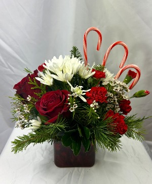 Candy Cane Lane Cube Arrangement