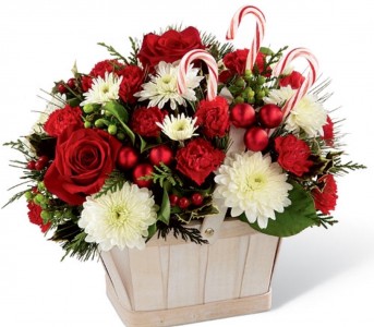 Candy Cane Lane Flowers